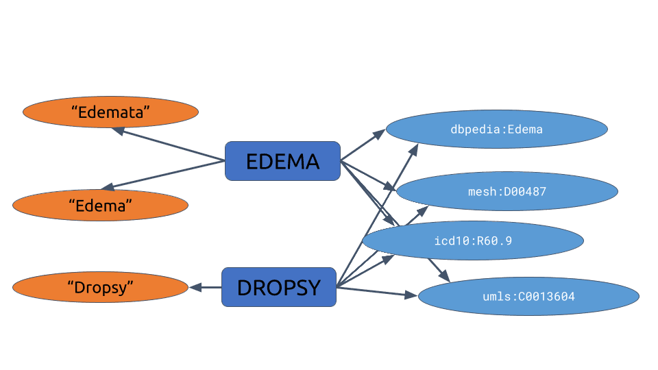 Modelling with lexical entries